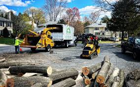 Leaf Removal in Macarthur, WV